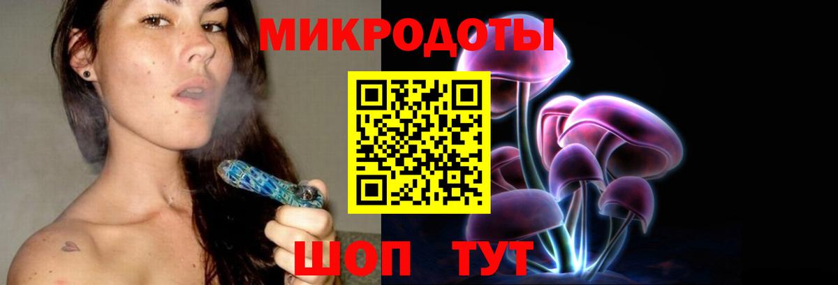 Калуга  Галлюциногенные грибы Psilocybine cubensis  Вход с VPN 